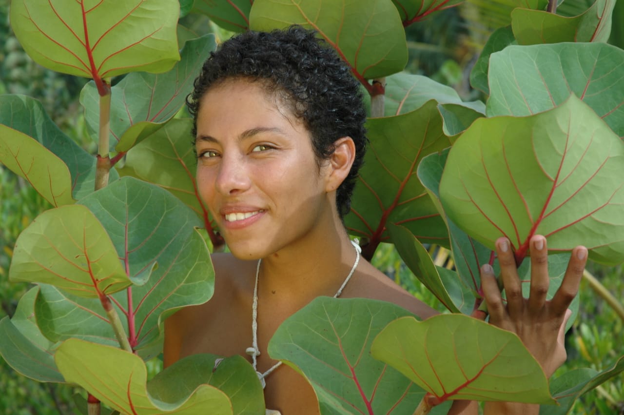 caribe identidad hojas