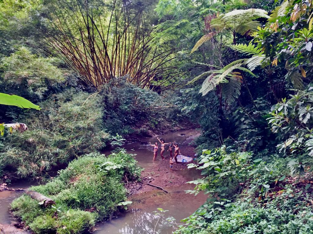 caribe rio naturaleza